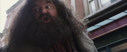 PF-Potterish_01602.jpg