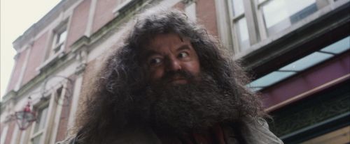 PF-Potterish_01603.jpg
