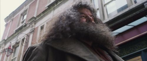 Click to view full size image
==============
PF-Potterish_01604.jpg PF-Potterish_01604.jpg