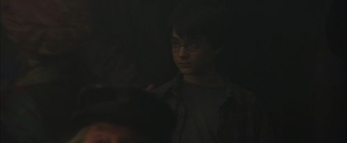 PF-Potterish_01632.jpg