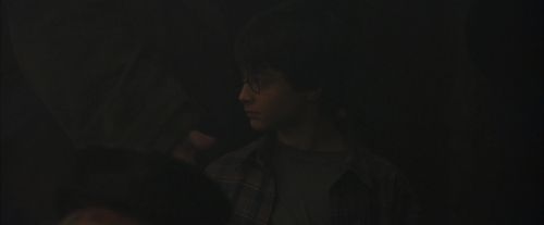 PF-Potterish_01633.jpg
