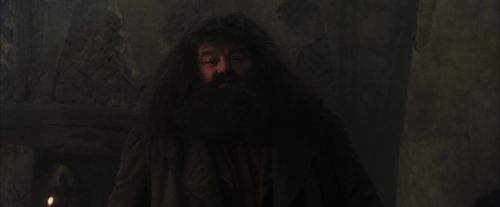 Click to view full size image
==============
PF-Potterish_01642.jpg PF-Potterish_01642.jpg