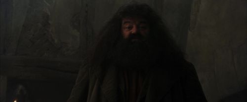 PF-Potterish_01643.jpg