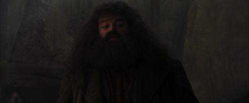 PF-Potterish_01644.jpg