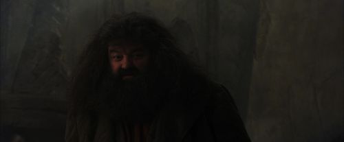 PF-Potterish_01645.jpg