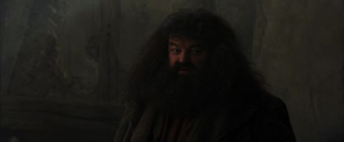 PF-Potterish_01646.jpg