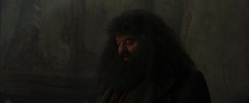 PF-Potterish_01647.jpg