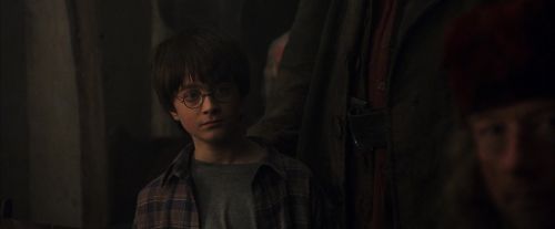 PF-Potterish_01650.jpg