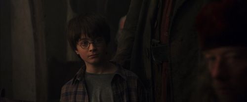 PF-Potterish_01654.jpg