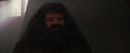 PF-Potterish_01685.jpg