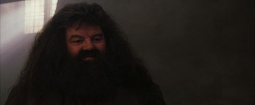 PF-Potterish_01686.jpg
