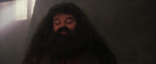 PF-Potterish_01687.jpg