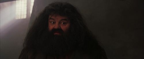 PF-Potterish_01689.jpg