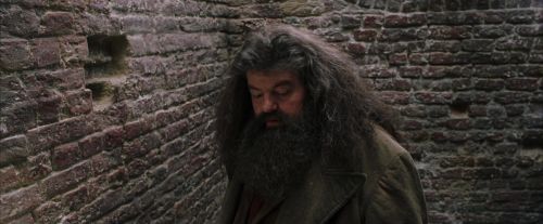PF-Potterish_01733.jpg