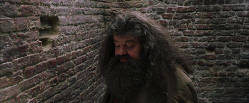 PF-Potterish_01736.jpg