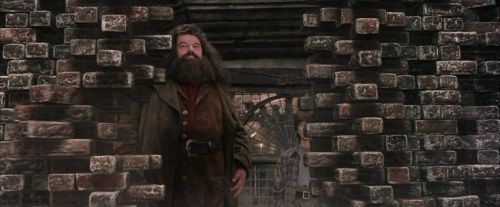 PF-Potterish_01761.jpg