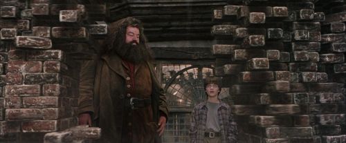 PF-Potterish_01762.jpg