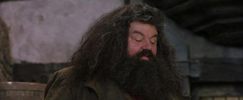 Click to view full size image
==============
PF-Potterish_01763.jpg PF-Potterish_01763.jpg