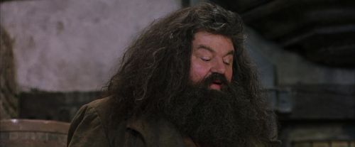 Click to view full size image
==============
PF-Potterish_01764.jpg PF-Potterish_01764.jpg