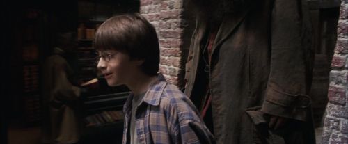 Click to view full size image
==============
PF-Potterish_01773.jpg PF-Potterish_01773.jpg