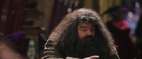PF-Potterish_01797.jpg