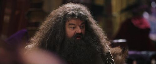PF-Potterish_01798.jpg