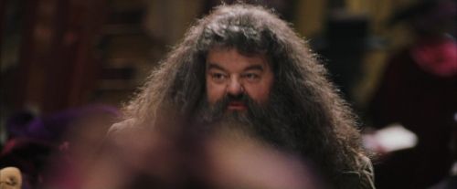 PF-Potterish_01799.jpg