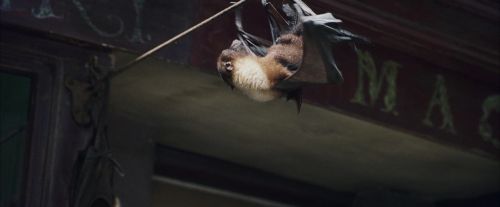 Click to view full size image
==============
PF-Potterish_01829.jpg PF-Potterish_01829.jpg