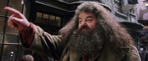Click to view full size image
==============
PF-Potterish_01864.jpg PF-Potterish_01864.jpg