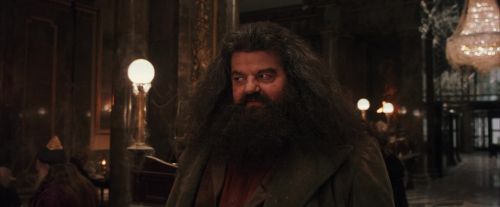 PF-Potterish_01903.jpg