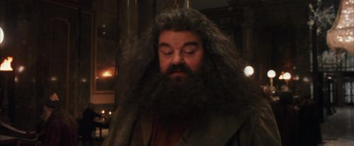 Click to view full size image
==============
PF-Potterish_01905.jpg PF-Potterish_01905.jpg