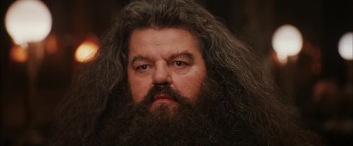 Click to view full size image
==============
PF-Potterish_01916.jpg PF-Potterish_01916.jpg