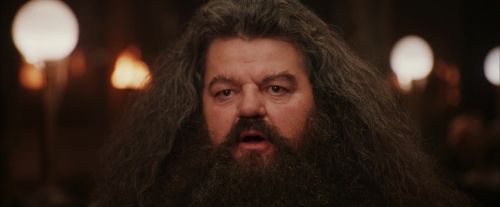 PF-Potterish_01917.jpg