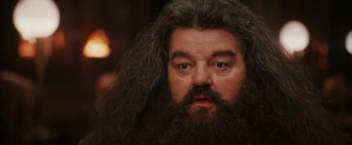 Click to view full size image
==============
PF-Potterish_01932.jpg PF-Potterish_01932.jpg