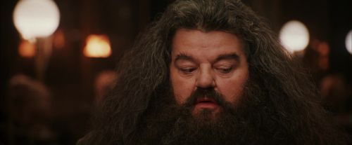 Click to view full size image
==============
PF-Potterish_01933.jpg PF-Potterish_01933.jpg