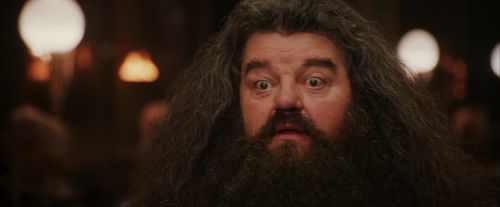 PF-Potterish_01934.jpg