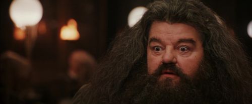PF-Potterish_01935.jpg