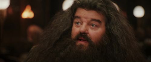 PF-Potterish_01942.jpg