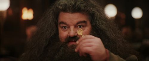 Click to view full size image
==============
PF-Potterish_01943.jpg PF-Potterish_01943.jpg