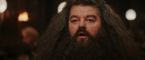 PF-Potterish_01946.jpg