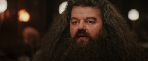 PF-Potterish_01948.jpg