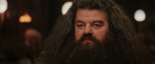 Click to view full size image
==============
PF-Potterish_01949.jpg PF-Potterish_01949.jpg