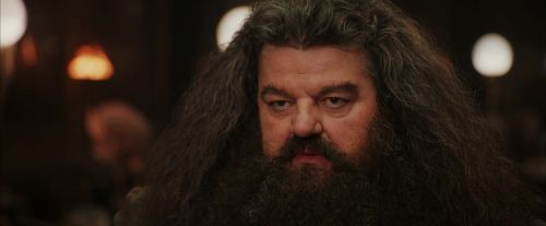 PF-Potterish_01951.jpg