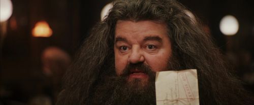 PF-Potterish_01954.jpg