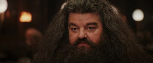 Click to view full size image
==============
PF-Potterish_01955.jpg PF-Potterish_01955.jpg