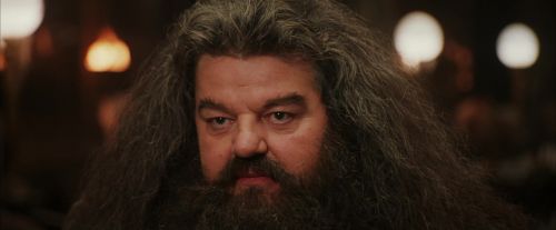 PF-Potterish_01963.jpg