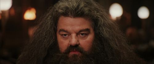 Click to view full size image
==============
PF-Potterish_01964.jpg PF-Potterish_01964.jpg