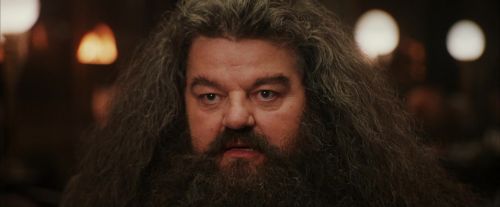 Click to view full size image
==============
PF-Potterish_01965.jpg PF-Potterish_01965.jpg
