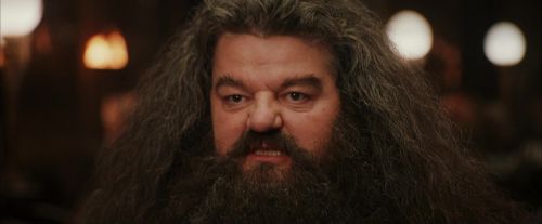 Click to view full size image
==============
PF-Potterish_01966.jpg PF-Potterish_01966.jpg