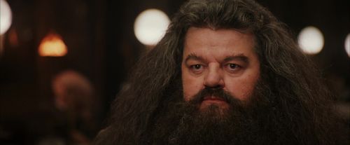 PF-Potterish_01973.jpg